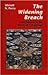 The Widening Breach: Evolut...