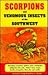 Scorpions and Venomous Insects of the Southwest by Erik Daniel Stoops