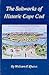 The Saltworks of Historic Cape Cod: A Record of the Nineteenth Century Economic Boom in Barnstable County