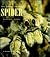 The World of the Spider
