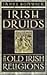 Irish Druids and Old Irish ...
