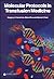 Molecular Protocols in Transfusion Medicine by Gregory A. Denomme