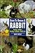 Guide to Owning a Rabbit (R...