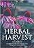 Herbal Harvest: Commercial Organic Production of Quality Dried Herbs