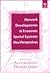 Network Developments in Economic Spatial Systems: New Perspectives