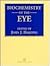Biochemistry of the Eye