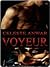 Voyeur
