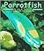 Parrotfish (Ocean Life)