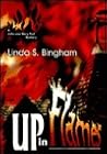 Up in Flames (John and Mary Bolt, #1)
