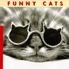 Funny Cats (Paperback)