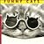 Funny Cats
