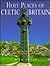 Holy Places of Celtic Brita...