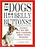 Do Dogs Have Belly Buttons?: Answers to the 100 Most Commonly Asked Canine Questions