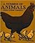 A Number of Animals