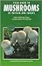 Field Guide to Mushrooms of Britain and Europe by Helmut Grünert