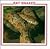 Rat Snakes (Snake Discovery Library Set II)