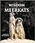 Wisdom of Meerkats by Rachael Lanicci