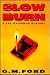 Slow Burn (Leo Waterman, #4)