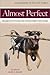 Almost Perfect by Mary A. Shafer