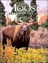 Wild Moose Country