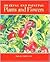 Drawing and Painting Plants and Flowers