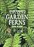 The Plantfinder's Guide to Garden Ferns (Plantfinder's Guides Series)