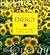 The Book of Energy: Invigorating Ways to Revitalize Your Life