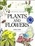 Plants and Flowers