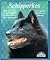 Schipperkes by Melanie Coronetz