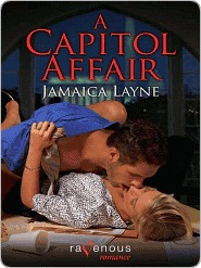A Capitol Affair (Nook)