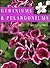 Geraniums and Pelargoniums by John Feltwell