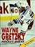 Wayne Gretzky: Hockey Great (Sports Achievers)