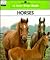 Horses (New True Book)