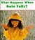 What Happens When Rain Falls by Daphne Butler