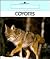 Coyotes (New True Books)