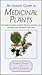 Instant Guide to Medicinal Plants by Pamela Forey