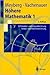 Höhere Mathematik 1: Differential- Und Integralrechnung Vektor- Und Matrizenrechnung