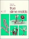 How to Know the True Slime Molds How to Know the True Slime Molds