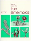 How to Know the True Slime Molds (Spiral-bound)