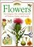 Flowers (Eyewitness Explorers)