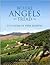 Where Angels Tread: The Story of Vina Montes