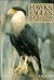 Hawks, Eagles and Falcons of North America by Paul A. Johnsgard