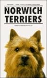 Norwich Terrier