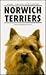 Norwich Terrier by Anna Katherine Nicholas
