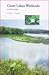 Great Lakes Wetlands: A Field Guide