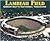 Lambeau Field: Green Bay's National Treasure