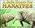A Safe Home for Manatees (Let's-Read-and-Find-Out Science 1)