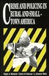 Crime and Policing in Rural and Small-Town America