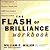 Flash Of Brilliance Workbook