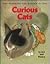 Curious Cats by Metropolitan Museum of Art